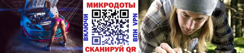 гидра ССЫЛКА  Киренск  Псилоцибиновые грибы мицелий 